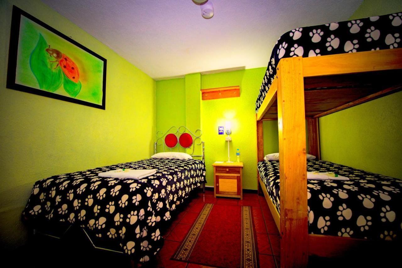 Mirador Oro Verde Quilotoa Zumbagua Ngoại thất bức ảnh